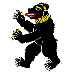CHE St. Gallen Flag